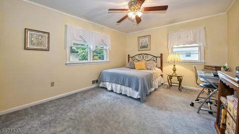 17 Alpine Dr, Wayne, NJ 07470 photo 22