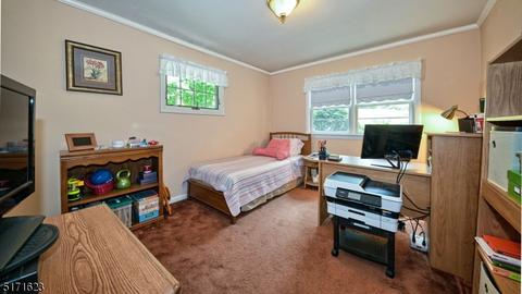 17 Alpine Dr, Wayne, NJ 07470 photo 23