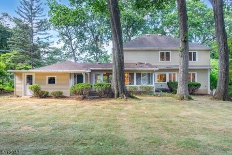 46 Wilson Ave, Wayne, NJ 07470 photo 29