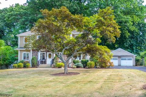 46 Wilson Ave, Wayne, NJ 07470 photo 3