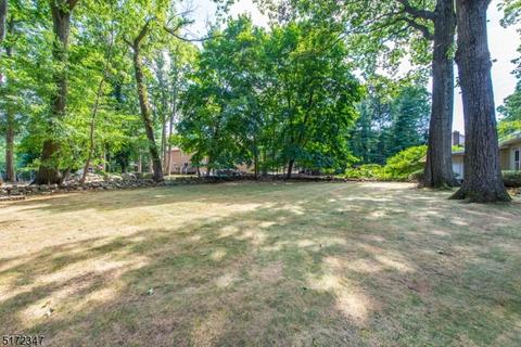 46 Wilson Ave, Wayne, NJ 07470 photo 27
