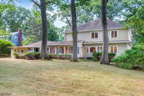 46 Wilson Ave, Wayne, NJ 07470 photo 28