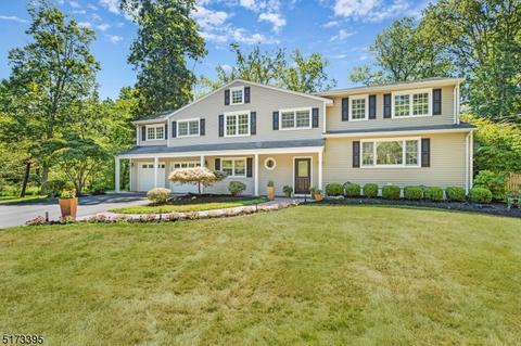 47 Franklin Rd, Mendham, NJ 07945 photo 1