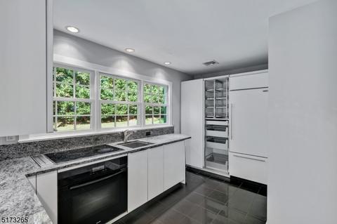 103 Pine Grove Ave, Summit, NJ 07901 photo 13