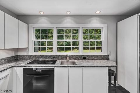 103 Pine Grove Ave, Summit, NJ 07901 photo 12