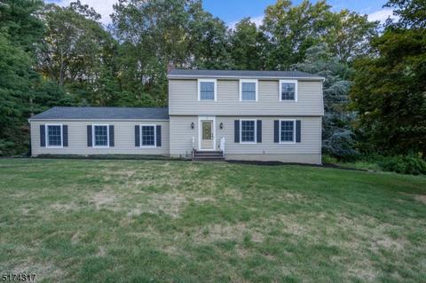 77 Norma Rd, Hampton, NJ 08827 photo 1