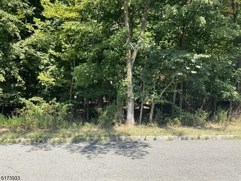 42 Teak Rd, Wayne, NJ 07470 photo 5
