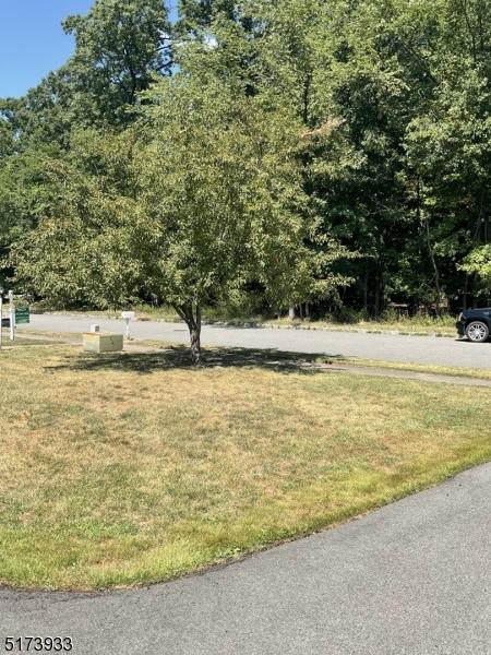 42 Teak Rd, Wayne, NJ 07470 photo 3