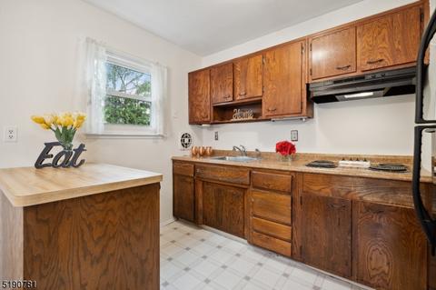 3 Eileen Ct, Wharton, NJ 07885 photo 18