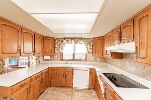 8 Mockingbird Rd, Hackettstown, NJ 07840 photo 10