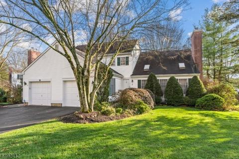 19 Hampton Ct, Basking Ridge, NJ 07920 photo 1