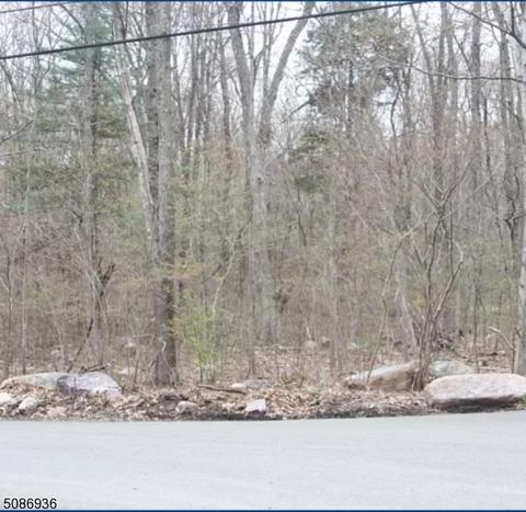 0 Mount Hope Rd, Rockaway Twp., NJ 07866