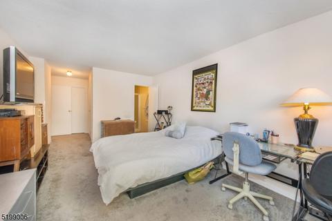 235 Prospect Ave #3C, Hackensack, NJ 07601 photo 11