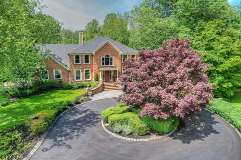 270 Spring Hill Rd, Montgomery, NJ 08558