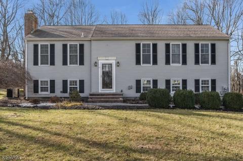 56 Circle Dr, Hampton, NJ 08827 photo 1