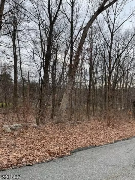 0 Robert St, West Milford Twp, NJ 07480