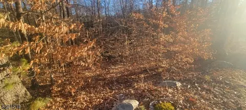 291 New Rd, Montague, NJ 07827
