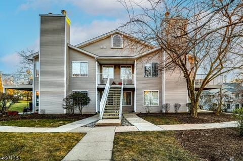 10 Pine Ct, Bedminster, NJ 07921 photo 1