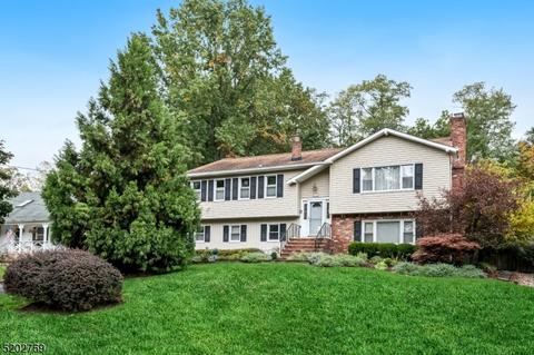 102 Mill Rd, Morris Plains, NJ 07950