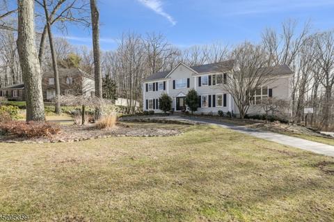 53 Longview Ave, Randolph, NJ 07869