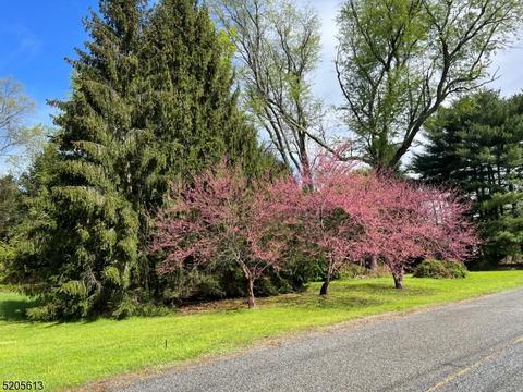 4 Eldan Pl, Blairstown Twp., NJ 07825