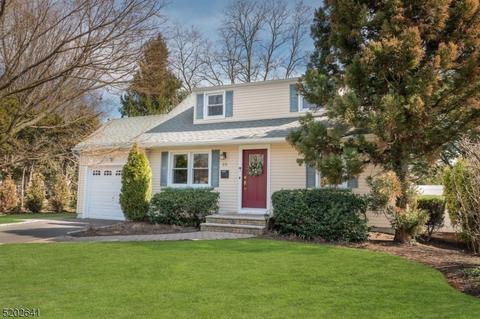25 Middle Ave, Summit, NJ 07901 photo 1
