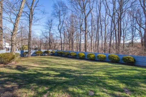 9 Memory Ln, Randolph, NJ 07869 photo 40