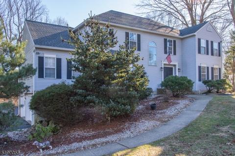 9 Memory Ln, Randolph, NJ 07869 photo 45