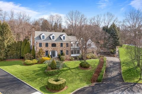 8 Jonah Ct, Peapack, NJ 07977