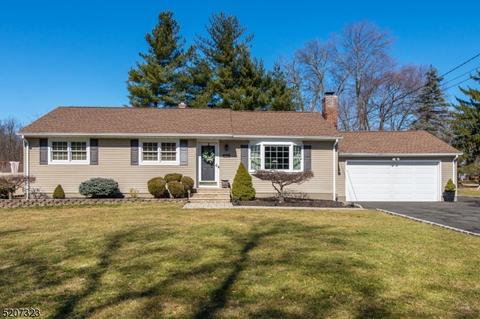 20 Lynn Ter, Hanover, NJ 07981
