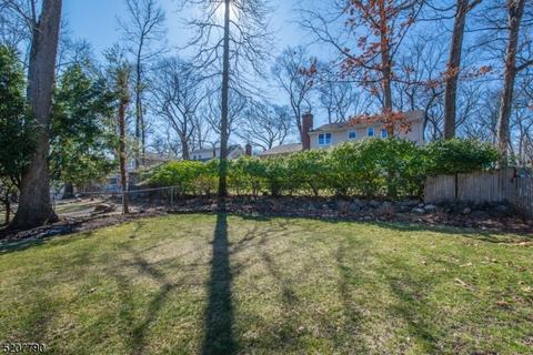 153 Chestnut Dr, Wayne, NJ 07470 photo 6
