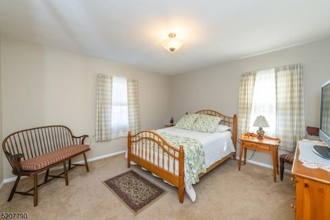153 Chestnut Dr, Wayne, NJ 07470 photo 15