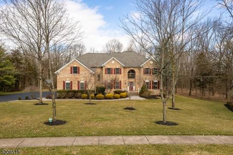 107 Wild Azalea Ln, Skillman, NJ 08558
