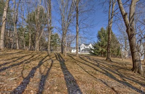88 Mountain Ave, Mendham Boro, NJ 07945 photo 49