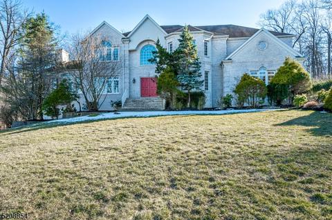 22 Green Mountain Dr, Basking Ridge, NJ 07920