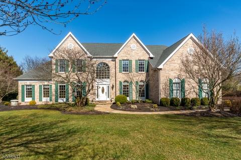 7 Mulberry Ct, Montgomery, NJ 08502