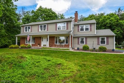 6 Cheryle Way, Clinton Twp., NJ 08801