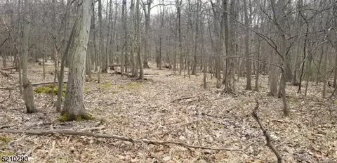 22 Berkshire Dr, Warren Twp., NJ 07059