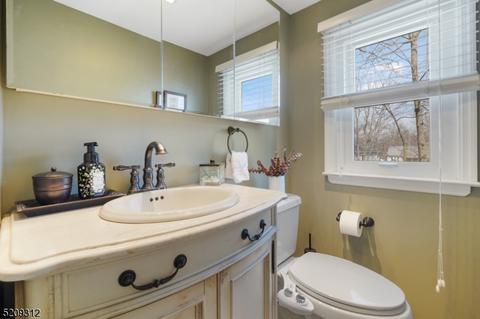 36 Miele Pl, Summit, NJ 07901 photo 27