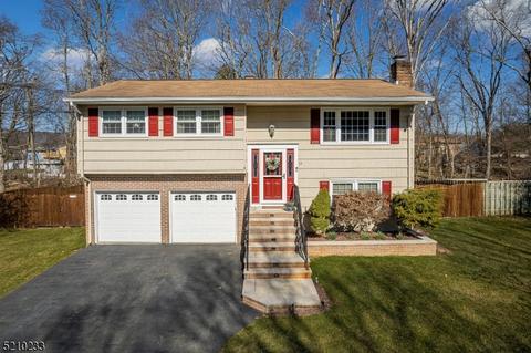 13 Pheasant Ct, Mount Olive, NJ 07836