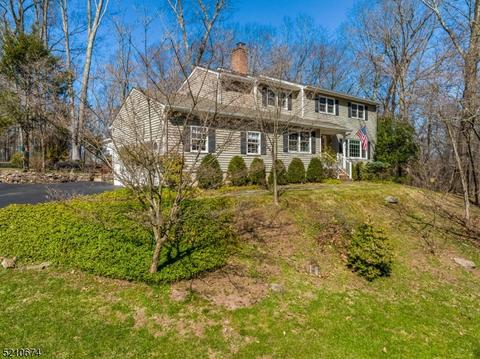 2 Walnut Dr, Flemington, NJ 08822 photo 40