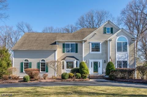 6 Fawn Hill Ct, Randolph, NJ 07869