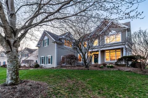 14 Innisbrook Rd, Montgomery, NJ 08558