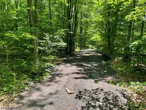 00 Old Foundry Rd, Stillwater Twp, NJ 07860
