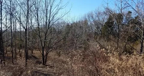 37 River View Dr, Hardwick Twp, NJ 07825