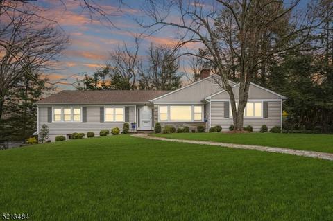 10 Twombly Dr, Summit, NJ 07901