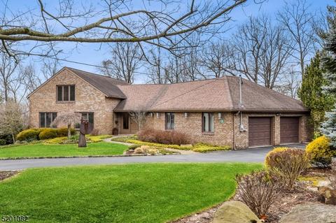 7 Drummond Ter, Livingston, NJ 07039