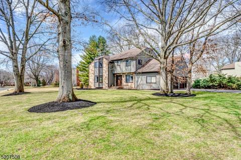 5 Killarney St, Bridgewater, NJ 08807
