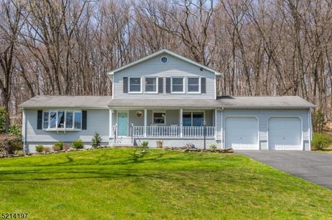 59 Radtke Rd, Randolph, NJ 07869