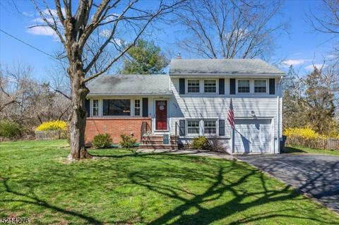 625 Meadow Rd, Bridgewater, NJ 08807